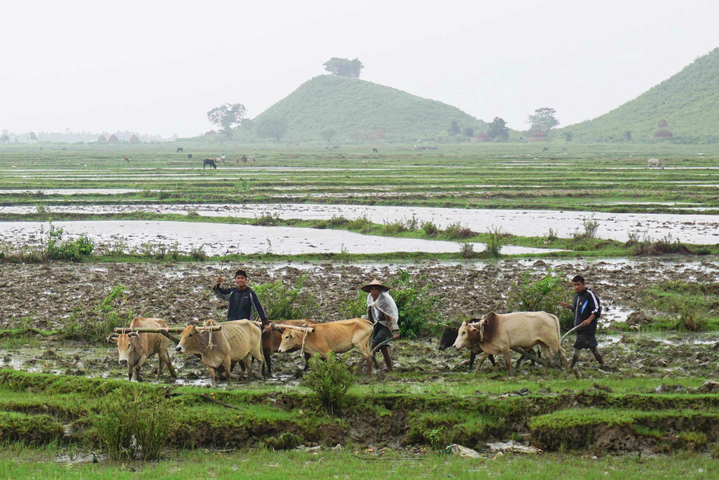 Myanmar