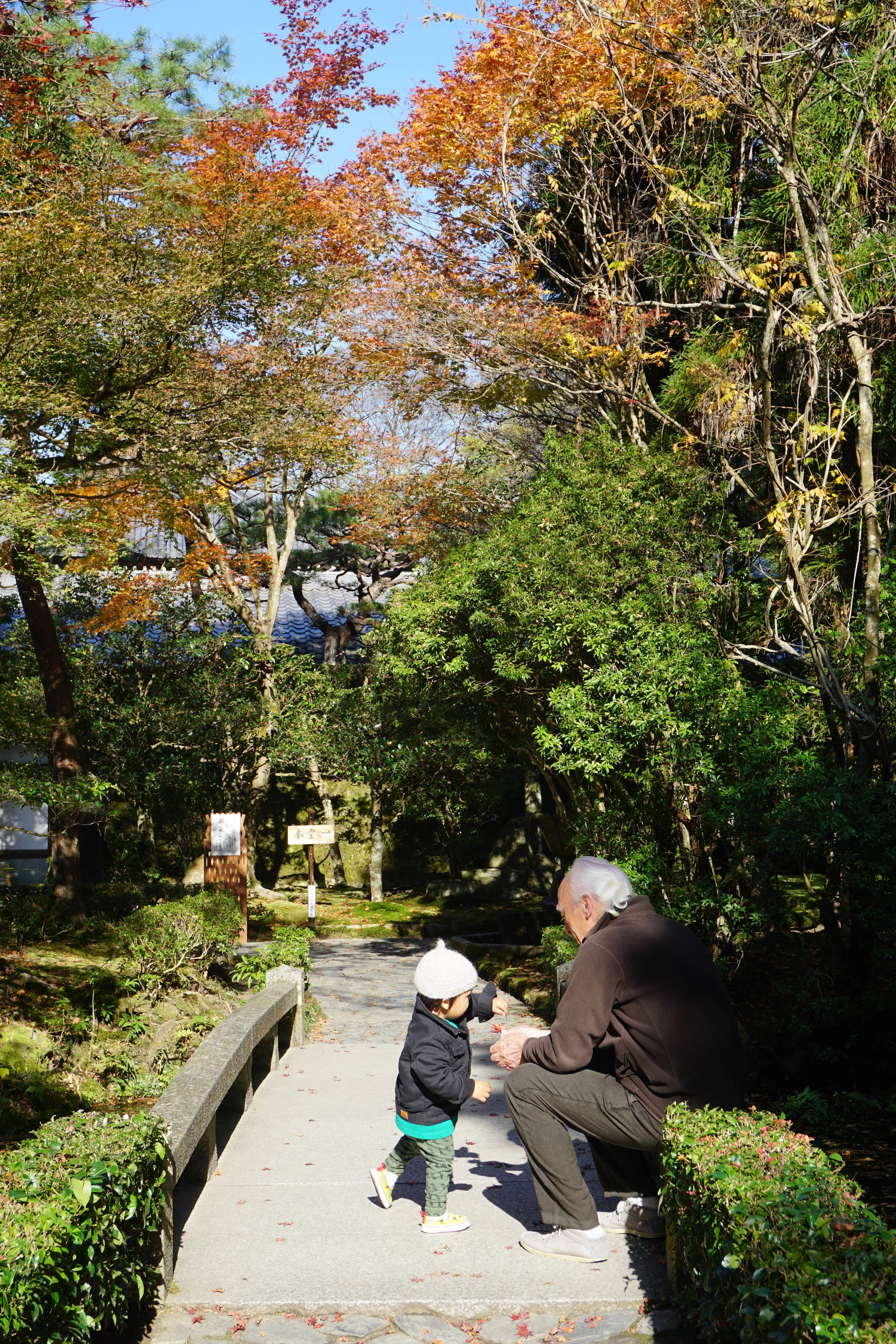 DSC03482.jpg