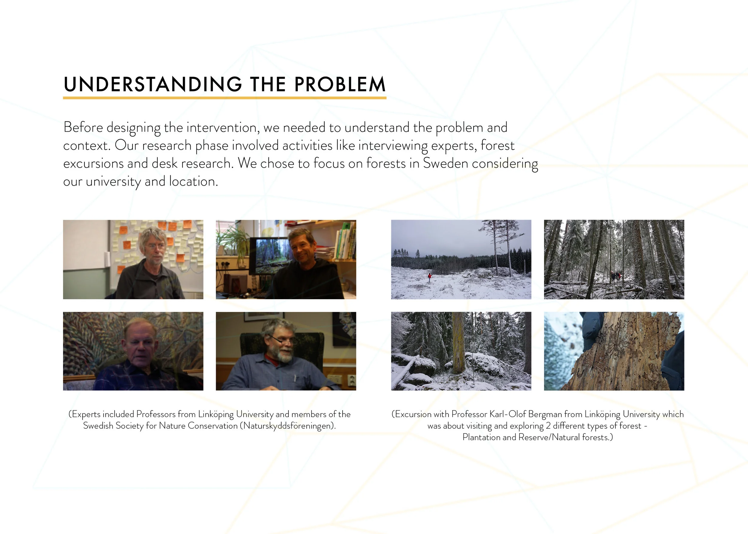 SwedishForest3.jpg