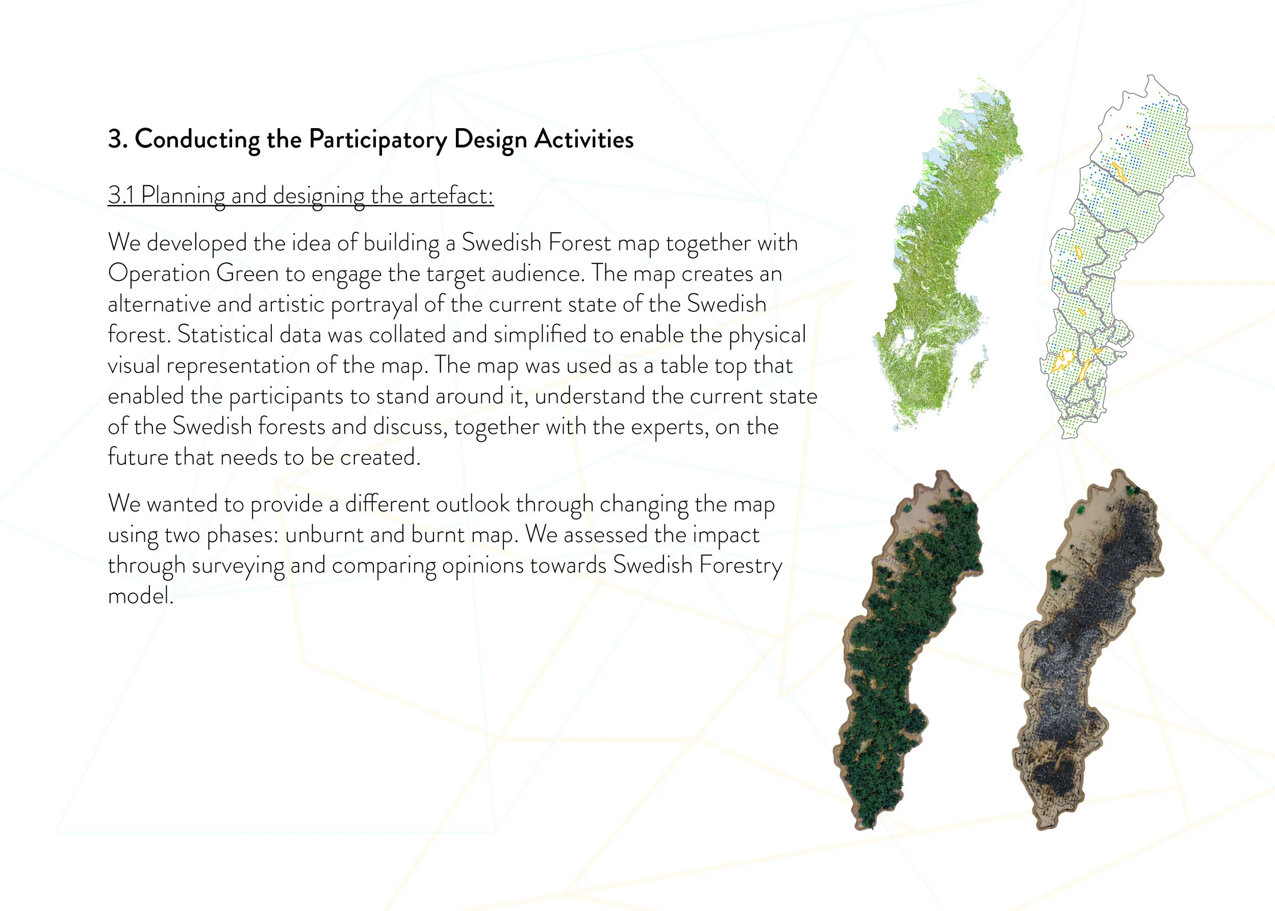 SwedishForest7.jpg